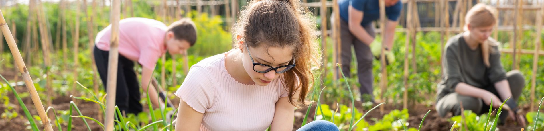 How to Make Money as a Teen