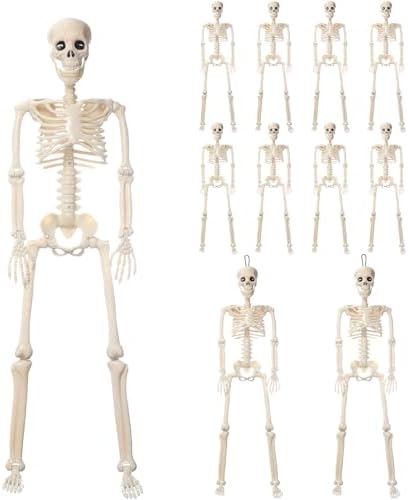 VioraWhite 11 Stück Halloween-Skelett-Dekorationen, realistische Ganzkörper-bewegliche Gelenke, Halloween-Kunststoff-Skelett für Friedhof, Hof, Innen- und Außenbereich, Party-Dekoration