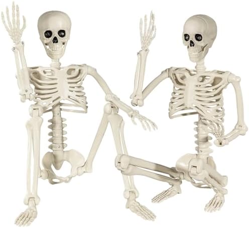 SUNREEK Halloween Skeleton Decorations 3ft Life Size Human Skeleton with Moving Joints Scary Halloween Plastic Skeleton for Halloween Graveyard Haunted House Outdoor Decoration