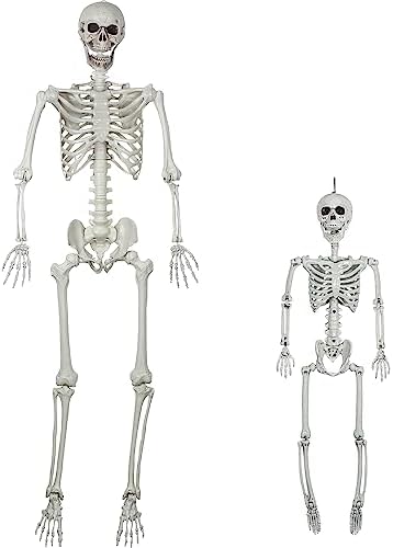 SUNREEK 2 Set Moving Halloween Skeleton – Full Body Skeleton Bones with Movable Joints for Halloween Decoration, Scary Scene, Party Decoration (1.6m & 0.9m)