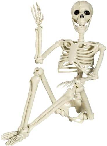 XONOR Halloween Skeleton Full Body Joints Skeletons 90cm Human Skeleton Decorations for Halloween Party Haunted House Supplies (90cm)
