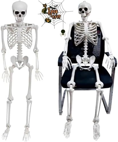Life Size Halloween Skeleton Decoration – 65 Inch Movable Human Plastic Skeleton for Indoor Outdoor Realistic Full Body Bones with Movable Joints for