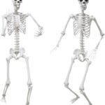 Halloween Skelett Dekorationen Lebensgroßes Skelett 2 Stück Full Size Skelett Kunststoff Menschliches Skelett mit beweglichem Gelenk für Halloween Outdoor