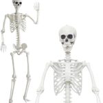 Halloween Skeleton Life Size Giant Skeleton Full Body Skeleton Plastic Human Skeleton with Adjustable Joints for Halloween Indoor Outdoor 2.5M