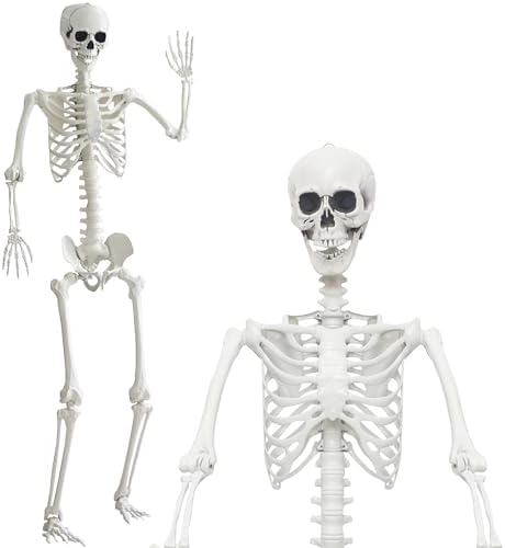 240cm Halloween Skeleton Life Size Skeleton Full Body Skeleton Plastic Human Skeleton with Adjustable Joints for Halloween Indoor Outdoor