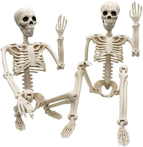 Znorso Skeleton Halloween Decorations, Realistic Full Body Movable Joints Skeleton Human Skeleton with Movable Joints for Halloween Decoration