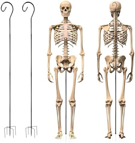 Skeleton Stand Metal Stand for Skeletons Halloween Decoration Accessories Skeletons Not Included (Normal Styles, Black) 2 Sets