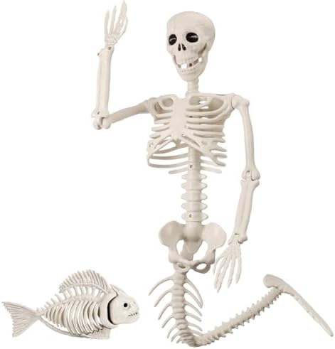 Mermaid Skeleton