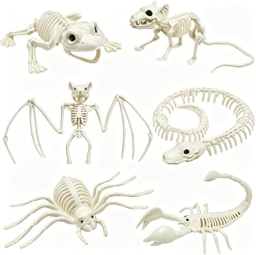 CAMIRUS 6 x Halloween-Skelette, realistisches Tierskelett